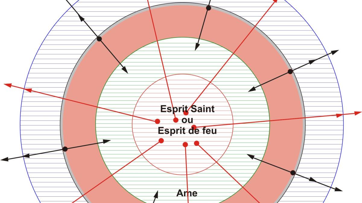 Représentation du cœur qui persévère